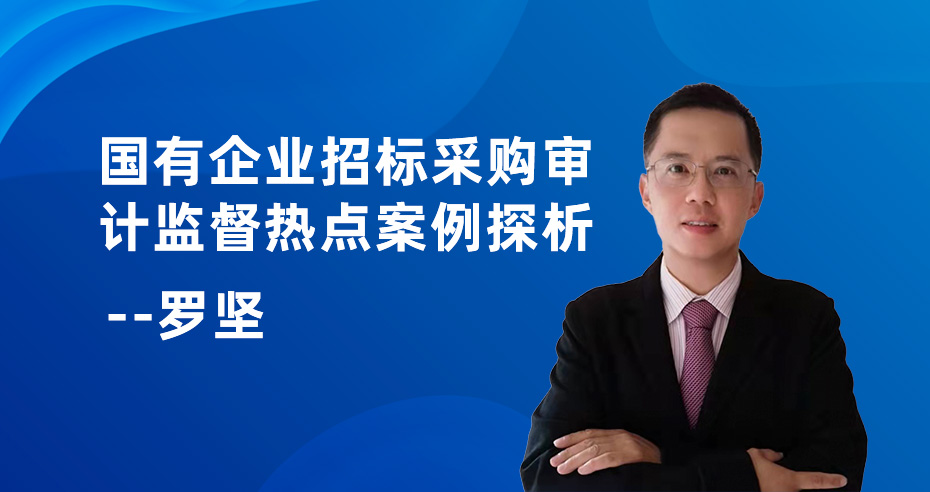 国有企业招标采购审计监督热点案例探析